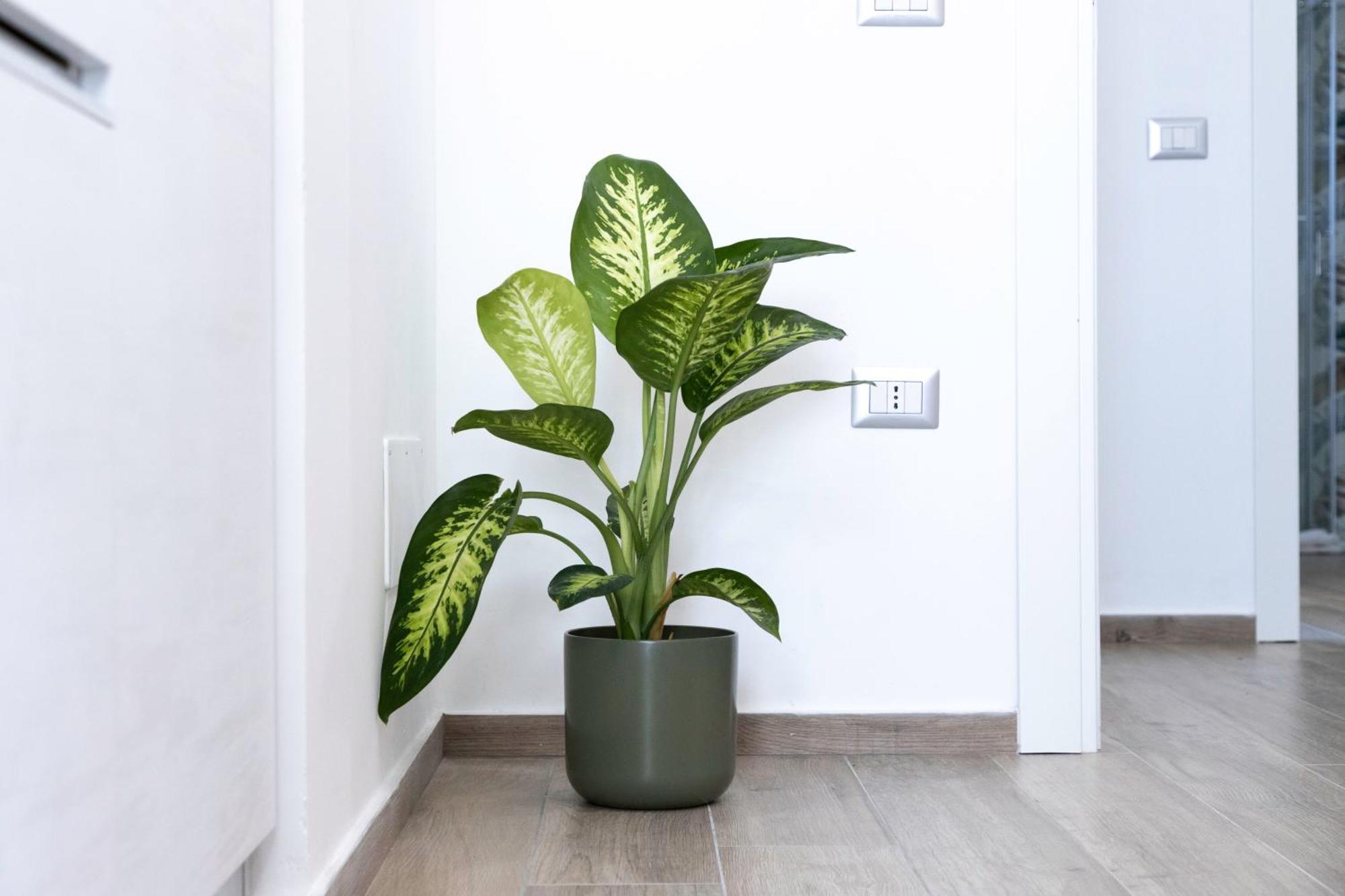 Quarzo. Modern Rooms Cagliari Ngoại thất bức ảnh